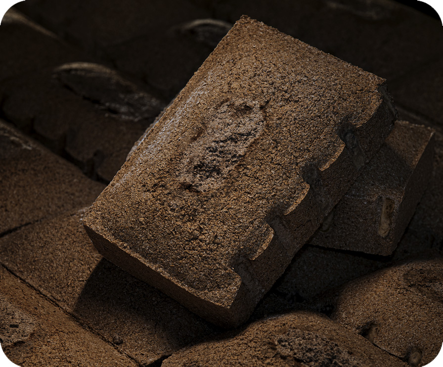 必赢亚洲·bwin(中国区)官方网站